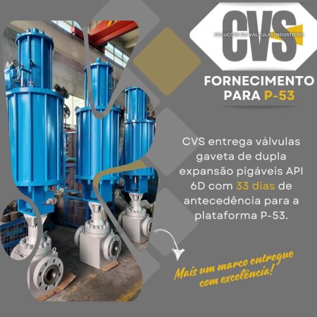 válvulas gaveta de dupla expansão pigáveis API 6D